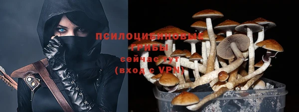 apvp Ельня