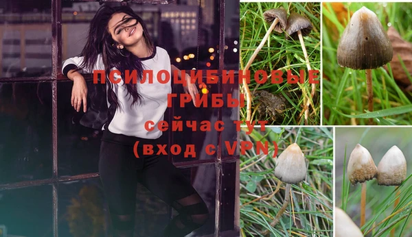 прущая мука Зеленодольск