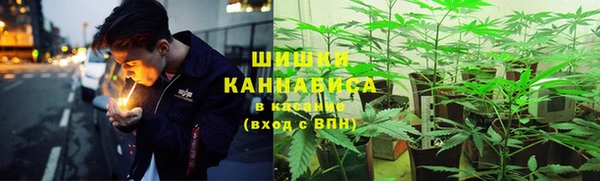 дживик Зерноград