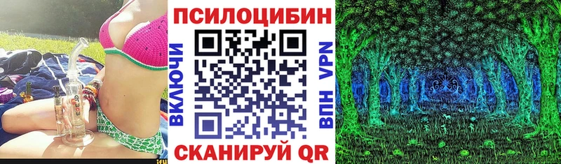 Купить  Арсеньев  Псилоцибиновые грибы GOLDEN TEACHER 
